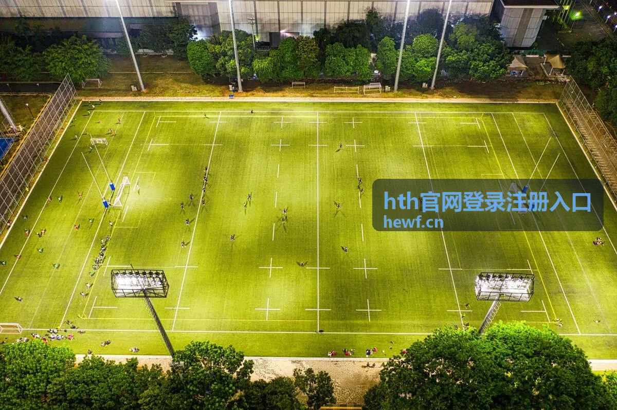 hth官网登录注册入口账号中心登录界面示意